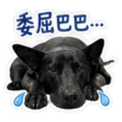 沐沐 =3=