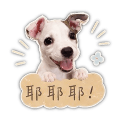 小時候のMilu日常對話篇♡