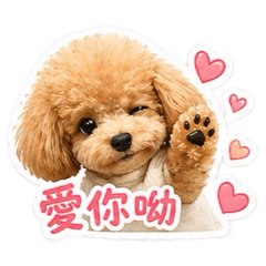 Wooni是隻泰迪熊 日常用語版