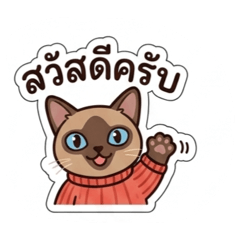 CaTcha_20260430153046