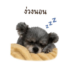 yawry_20260430152920