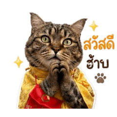 Mintjaed_20260430152951