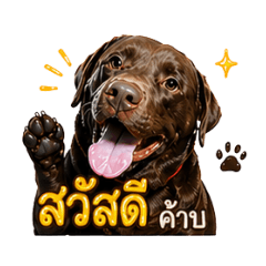 Ounce_20260430153008