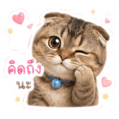 Phatsorn Srisodsai_20260430153247