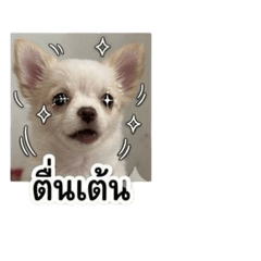 Toe_ynaka08_20260430153359