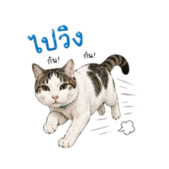Khonom Tom Stickers_20260430153223