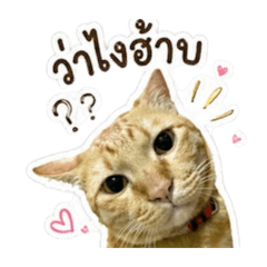 Nameichi_20260430153334