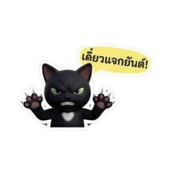 Mee Sook the Cat