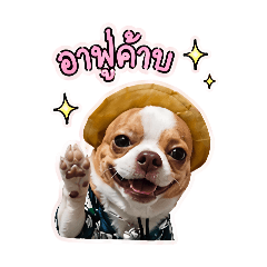 Baimint_20260430153617