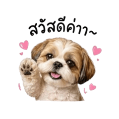 Audi is the son of Mom Mook and Dad Ta.