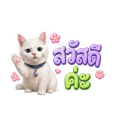 Ammy_20260430154009