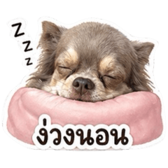 mooandmoosap
