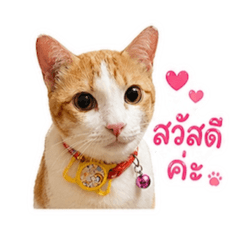Bella_20260430154225