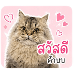 Ketsirin_20260430154336