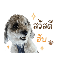 ornchanok INTAYA_20260430153615