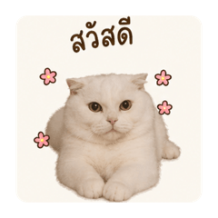 Namping_20260430154642