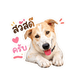 Kodchamon_20260430154812