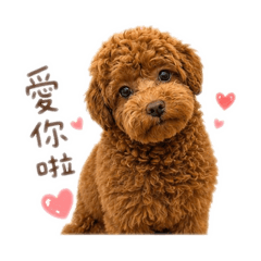 黑糖堡