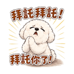 皮皮日常小語