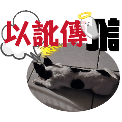 淡水美少女之一*54番*正面能量*