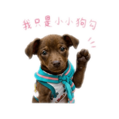 汪汪-