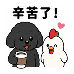 黑貴賓與他的雞