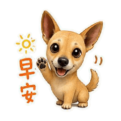 Happy 陪你每一天