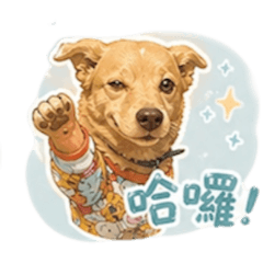 毛孩～日常用語