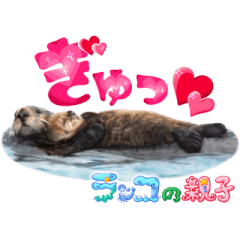 ItteQ! Rare Animal Stickers:Canada