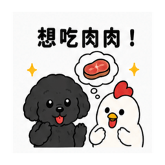 黑貴賓與他的雞 日常版