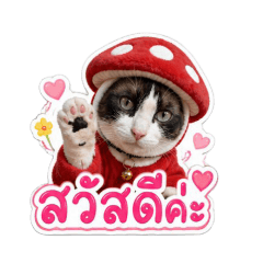 Red mushroom cat
