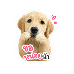 Chalua_20260430155220