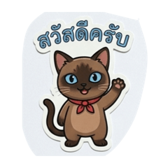CaTcha_20260430155605