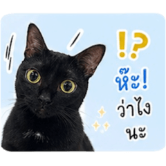 Ketsirin_20260430155908