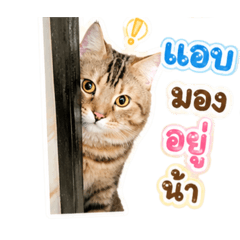 Krxgg_20260430155840