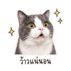iTKaii