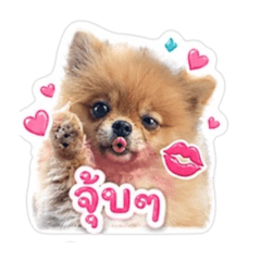Witchuda_20260430155648