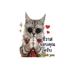 Natchaya_20260430160120
