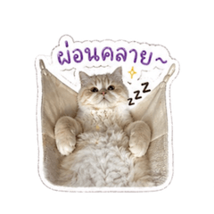 Tongnarak_20260430160229