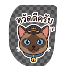 CaTcha_20260430160258