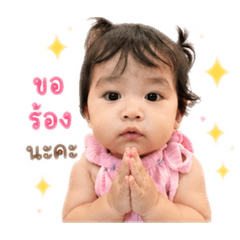 pompam_20260430160442