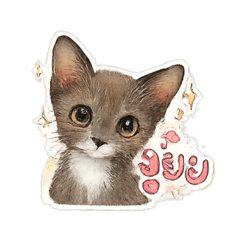 Mayuree_20260430160720