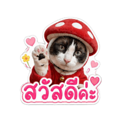 cat  Mushroom red_20260430160653
