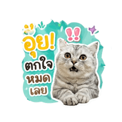 Yotaka_20260430160827