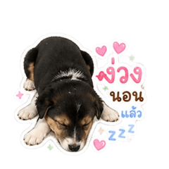 Kodchamon_20260430160858
