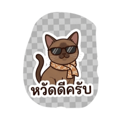 CaTcha_20260430161323