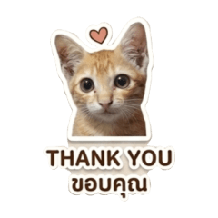 thanankorn Lakworanon_20260430161154