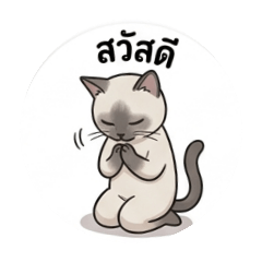 Baby Siamese Mina