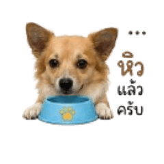 Patcha_20260430161351