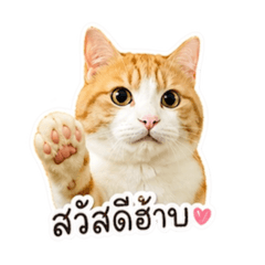 Monday_20260430161632